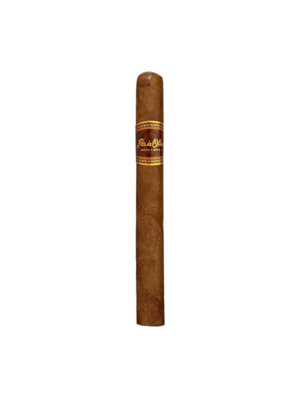 flor de oliva churchill
